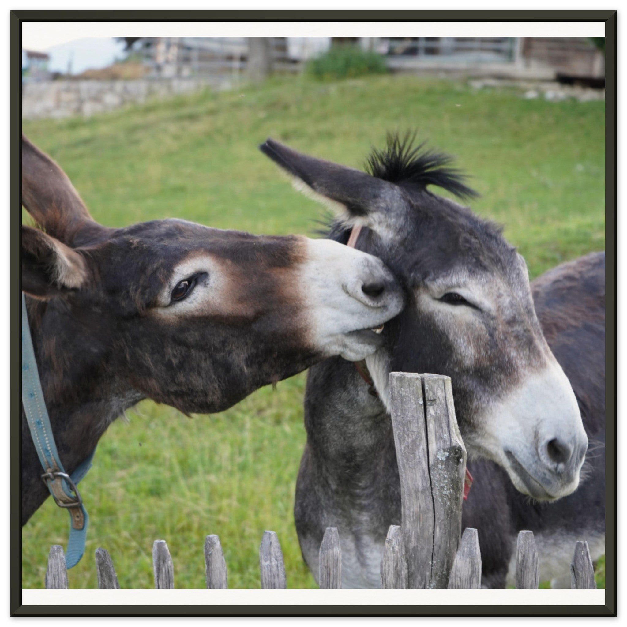 18aa9c91-b70d-43e9-bdd5-802d5868f017