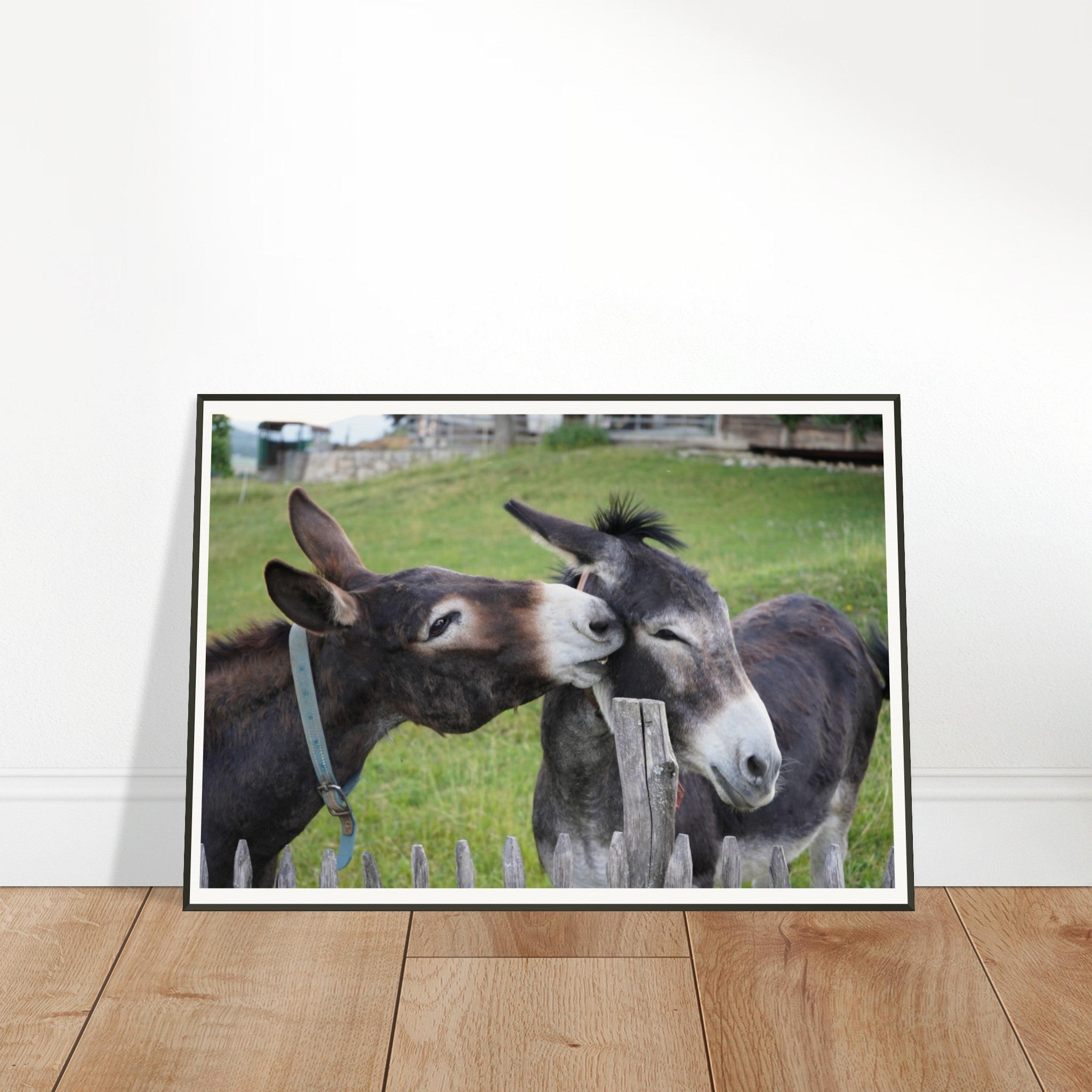 36980453-b463-43e2-acd9-3560bd76850a