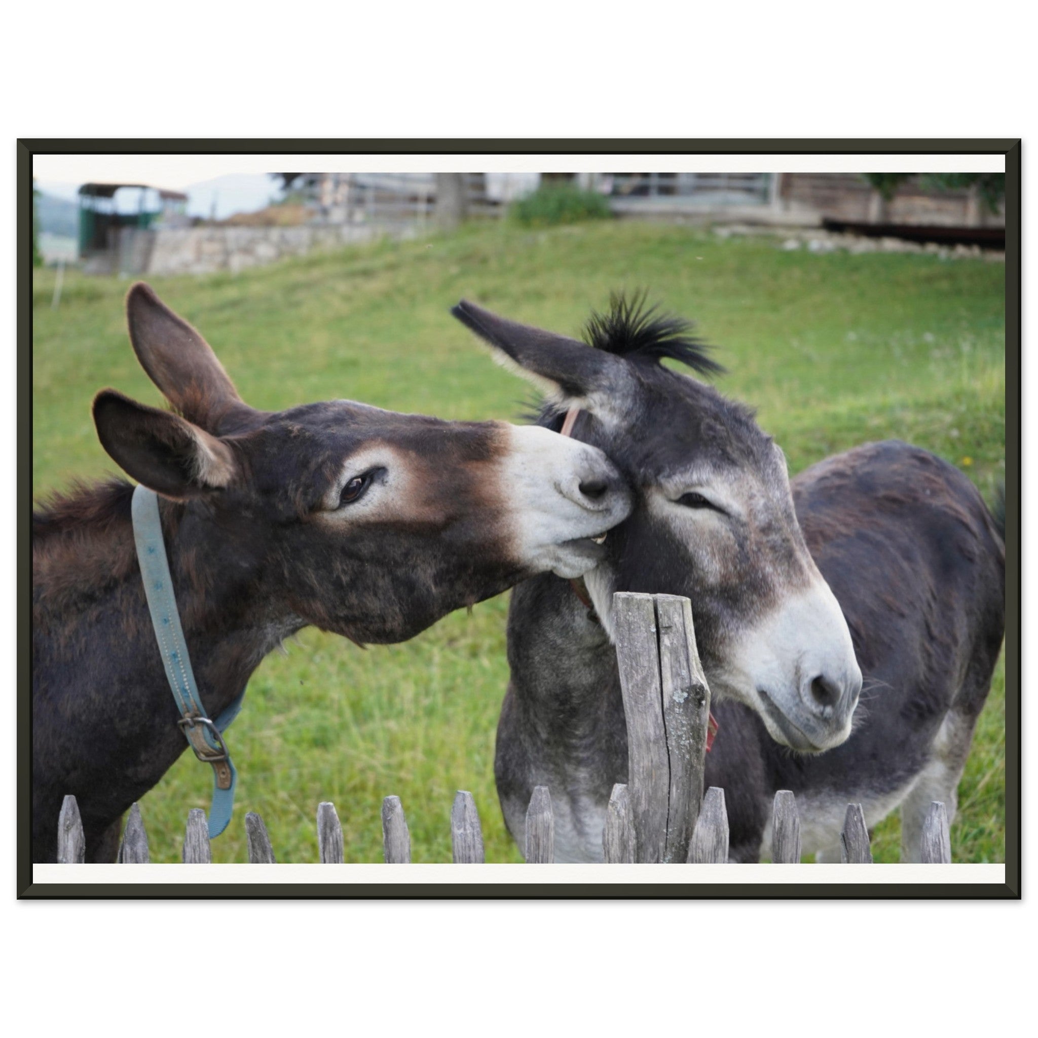 5200907a-40dc-491b-9a88-4e7f23b68341