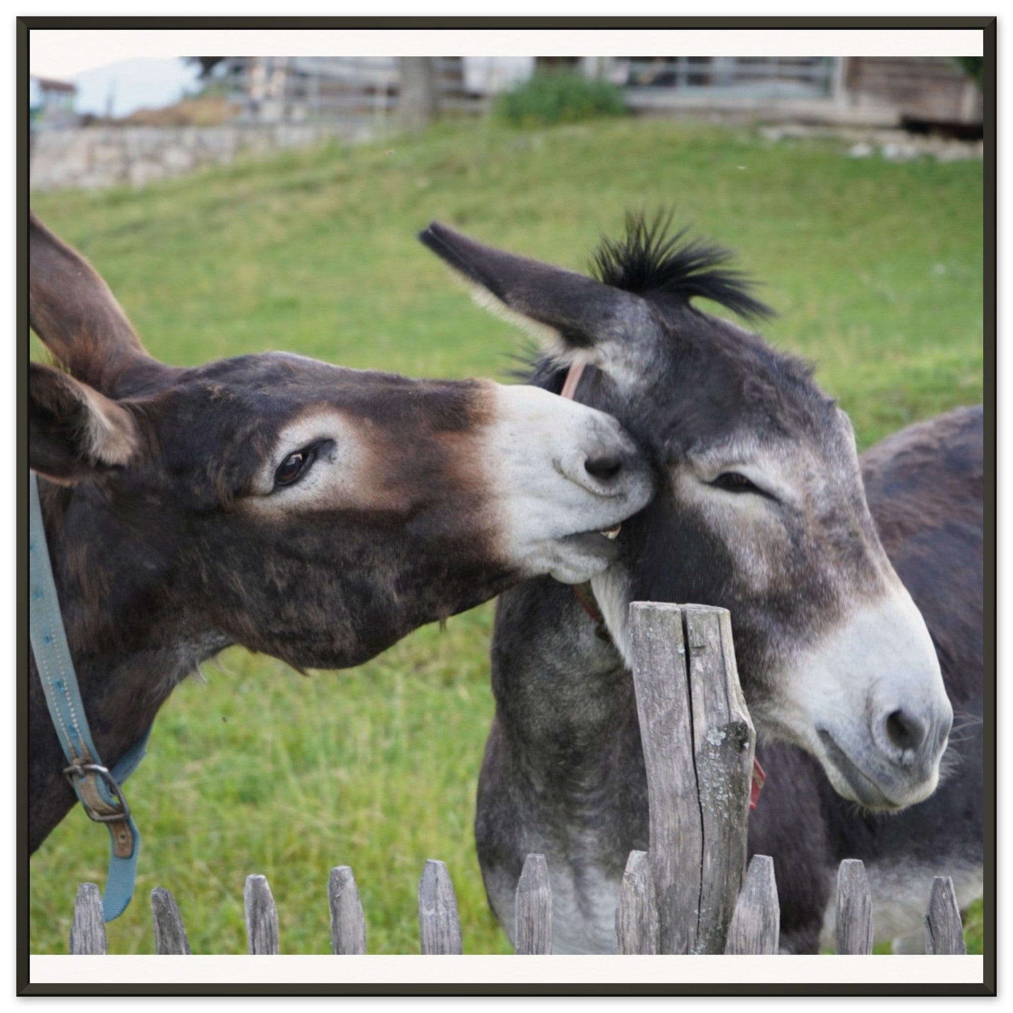 64aa55ca-116b-4f52-a828-89ac3443e0ad