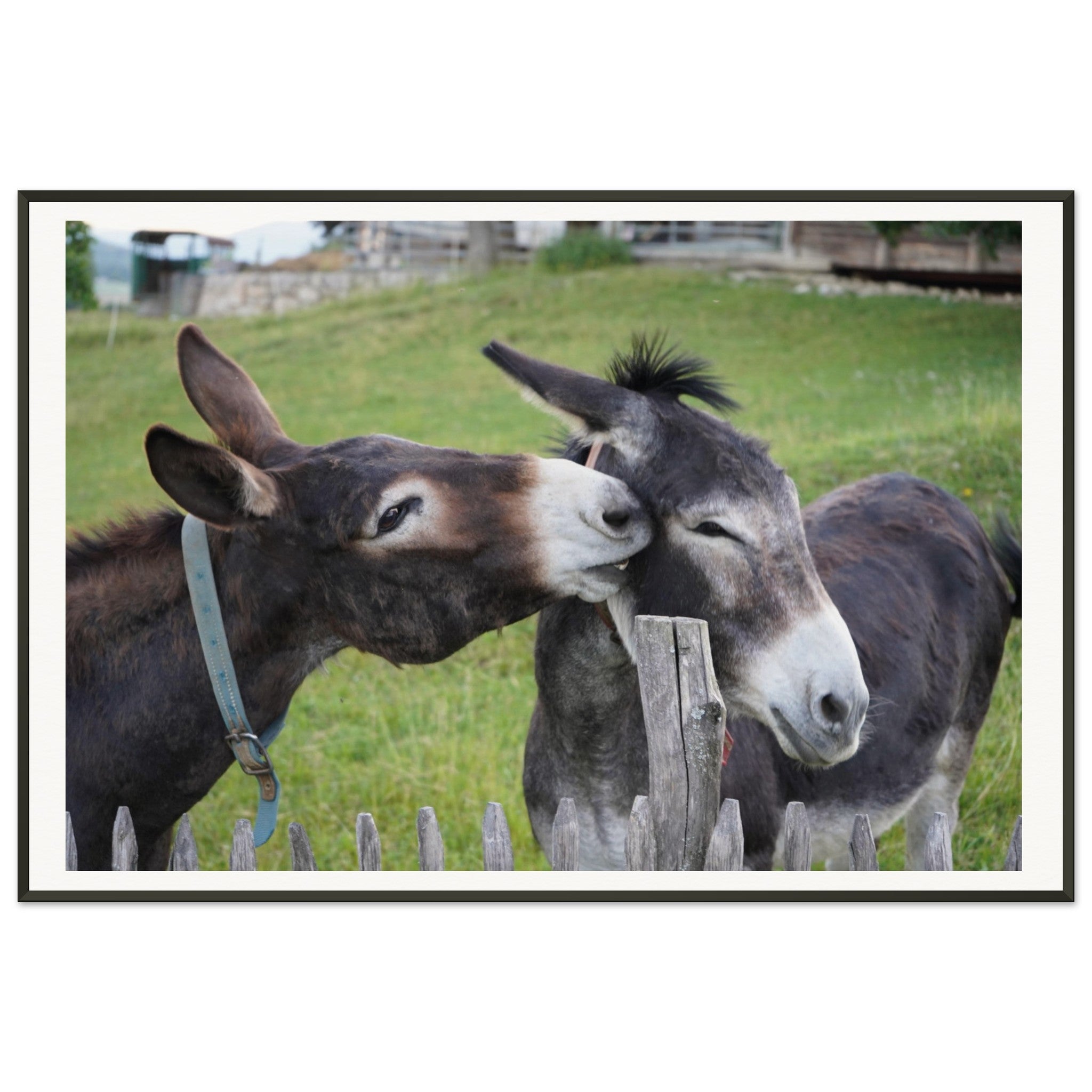 6b3b2064-2e6d-42fd-a70a-0c40dba99ad2