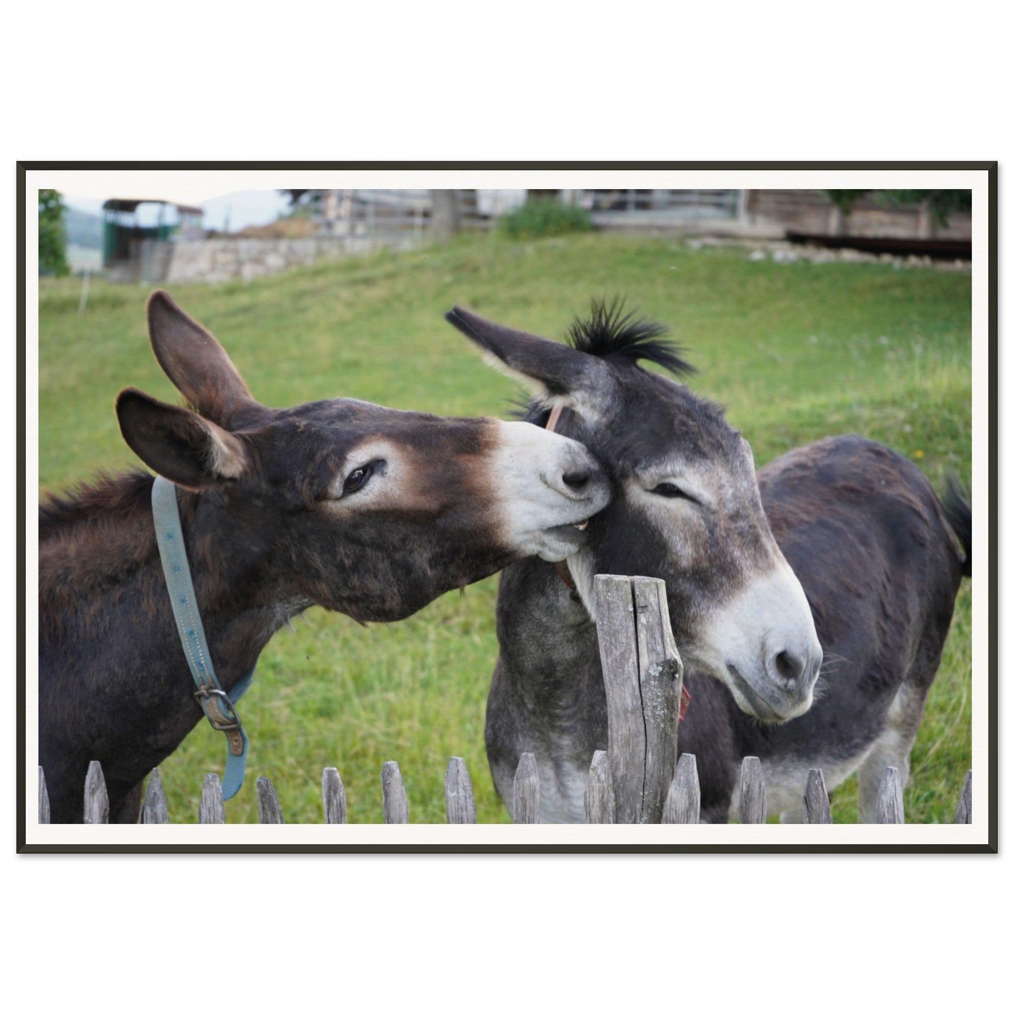 c2c5de3d-6f4e-471d-bd61-e6f0244b4eb8