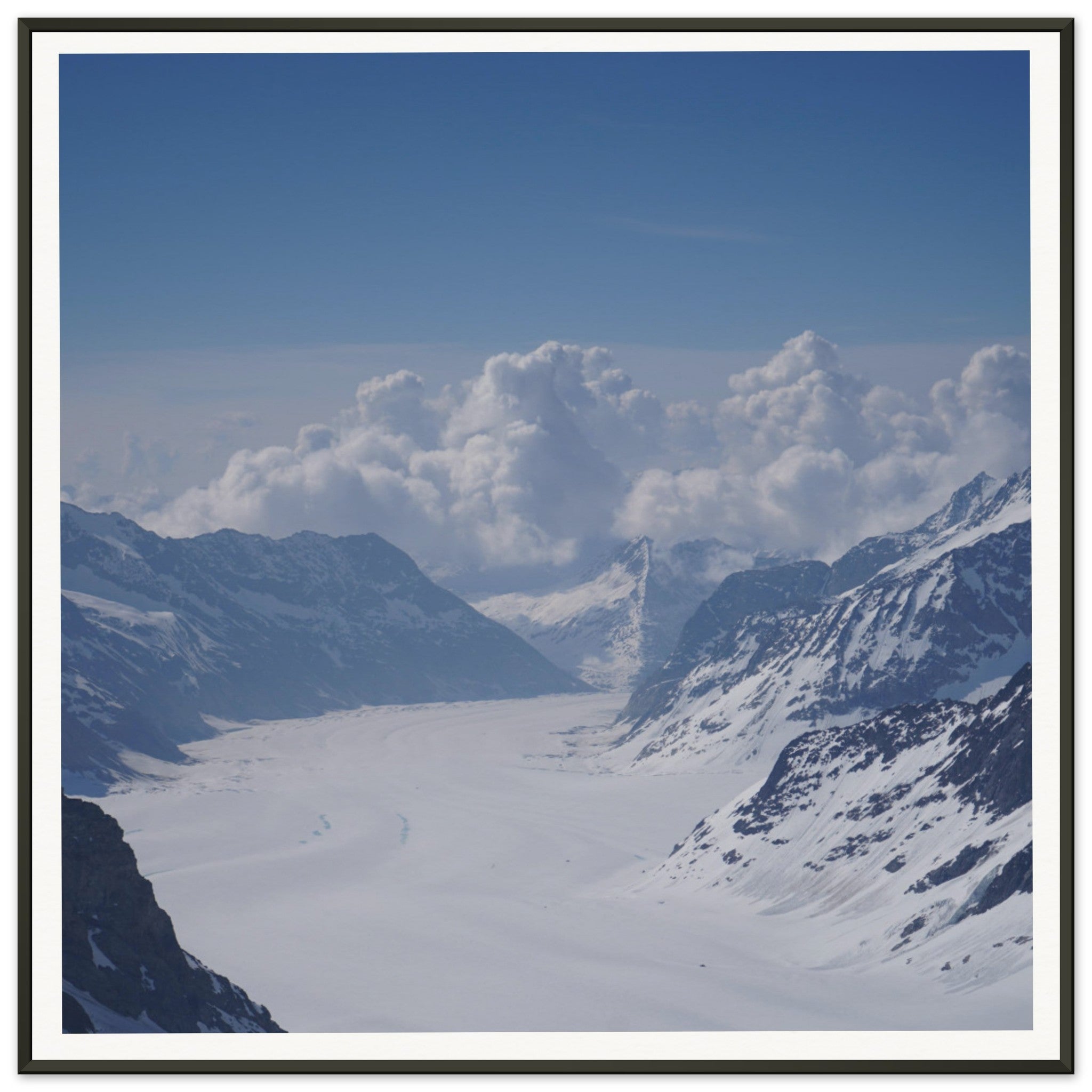 c5c6cb9d-25c8-440c-ae70-f325f99436f8